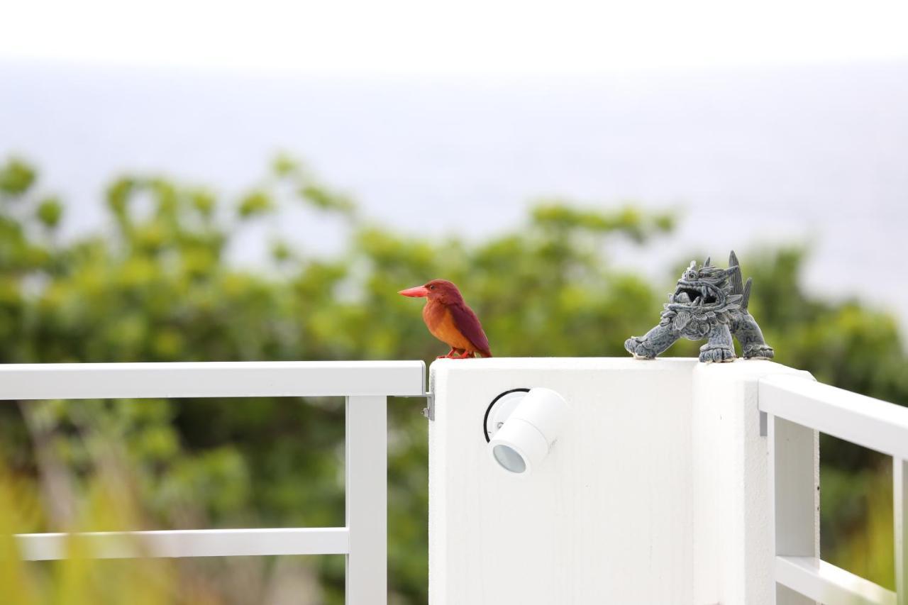 Blue Ocean Resort Ishigaki  外观 照片