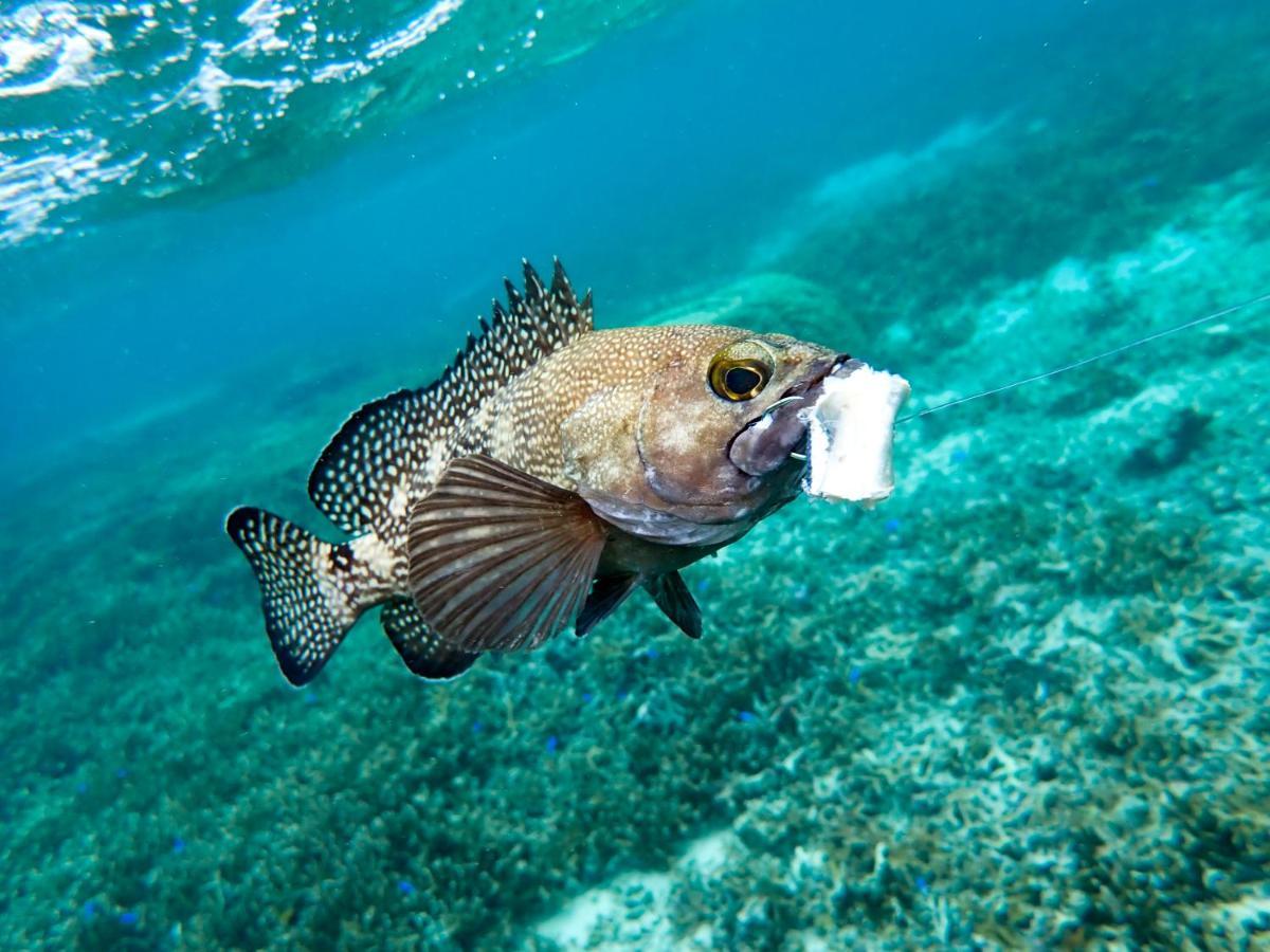 Blue Ocean Resort Ishigaki  外观 照片